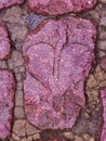 Heart of Nero, Piazza San Pietro, Rome, Italy Royalty Free Stock Photo