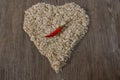 Heart of oat flakes Royalty Free Stock Photo