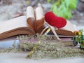 Heart of the old book, bookmark red heart, dried flowers, concept love and couples. Royalty Free Stock Photo