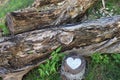 Heart painted on a tree stump, with logs