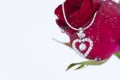 Heart pendant with diamond and red rose Royalty Free Stock Photo