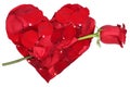 Heart from petals with red rose love topic on Valentine's and mo