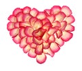 Heart from the petals of rose Royalty Free Stock Photo