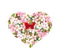 Heart with pink flowers - cherry blossom, sakura with red butterfly. Floral watercolor Royalty Free Stock Photo