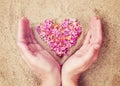 Heart of pink petals of tropical flowers on the sand and female hands, close-up Royalty Free Stock Photo