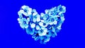 Heart of plum tree flowers in bright blue colors. Can be used as banner, postcard, picture print, invitation design. Stock photo