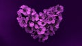 Heart of plum tree flowers in modern purple colors. Can be used as banner, postcard, picture print, invitation design