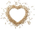 Heart of quinoa grain isolated on a white background Royalty Free Stock Photo