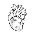 Heart real shape illustration line symbol style