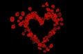 Heart of red rose petals isolated on black background in negative Royalty Free Stock Photo