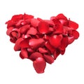 Heart of red rose petals isolated on white background Royalty Free Stock Photo