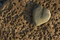 Heart rock