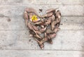 Heart from the roots of fresh organic topinambur or jerusalem artichoke Helianthus tuberosus on wooden background. Diabetic friend Royalty Free Stock Photo