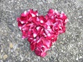 Heart of rose petals on stone background Royalty Free Stock Photo