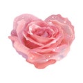 Heart-rose. Vector object flower on a white