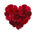 Heart of Roses Royalty Free Stock Photo