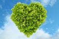 Heart salad in the sky