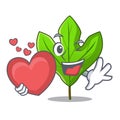 With heart sassafras leaf in the mascot pots