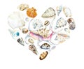 Heart of seashells. Watercolor hand drawn illustration