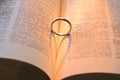 Heart shadow with ring Royalty Free Stock Photo