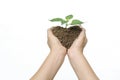 Heart shap soil and plant among woman hands