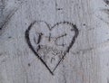 Heart shape carved on a tree trunk with initials Royalty Free Stock Photo