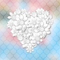 Heart shape composed from white flowers Royalty Free Stock Photo