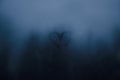 Heart shape drawn on fogged glass Royalty Free Stock Photo
