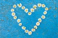 Heart shape formed from daisy flowers on a blue background Royalty Free Stock Photo