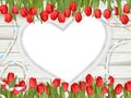 Heart shape frame with tulips. EPS 10 Royalty Free Stock Photo