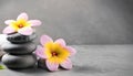 Flower and stone zen spa on grey background