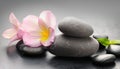 Flower and stone zen spa on grey background