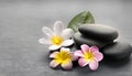 Flower and stone zen spa on grey background