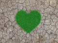 Heart shape Grass with cracked land