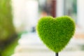 Heart shape grass Royalty Free Stock Photo