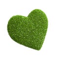 Heart shape of green leaves