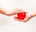 Heart shape in the helping hands on white background. Heart illness, disease protection, proactive checkup, mind diagnosis, sick
