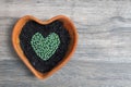 Heart shape of home grown young green vegetable seedling sow and grow in heart shaped terracotta pot on bright aged wooden potting