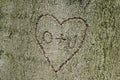 Heart shape with initials carved into tree Royalty Free Stock Photo