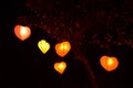 Heart shape lampion lantern at park at night Royalty Free Stock Photo