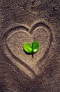 Heart shape leaf Royalty Free Stock Photo