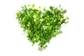 The heart shape is made of chopped green onions, parsley and dill. White isolated background Royalty Free Stock Photo