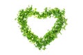 The heart shape is made of chopped green onions, parsley and dill. White isolated background Royalty Free Stock Photo