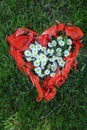 Heart shape made from daisy flowers and poppy leaves Royalty Free Stock Photo