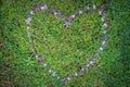 Heart shape made of flowers on grass.Flat lay. Valentines,love and wedding concept ideas Royalty Free Stock Photo