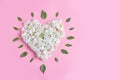 heart shape made of flowers on a pink background. flat lay, copy space Royalty Free Stock Photo