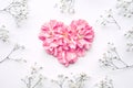 Heart shape made of flowers on white background.