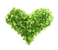 Heart shape made of green onion pieces Royalty Free Stock Photo