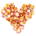 Heart shape made of pink rose petals as a romantic composition over white background Royalty Free Stock Photo