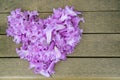 Heart shape made of purple flower